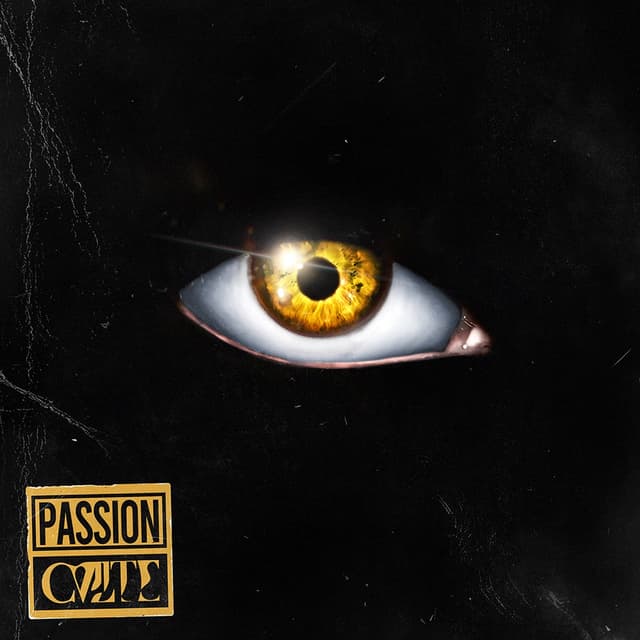 Album cover art for Passion