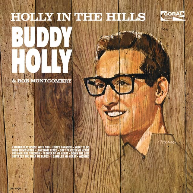 Album cover art for Holly In The Hills