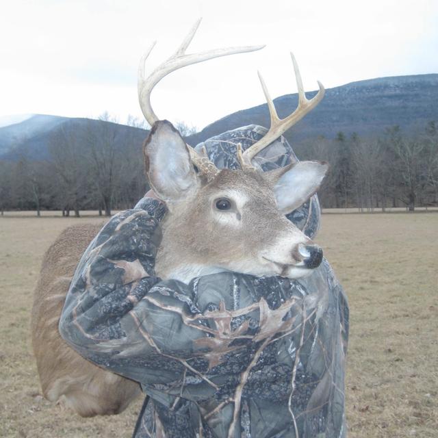 Album cover art for i cant tell (love my money)