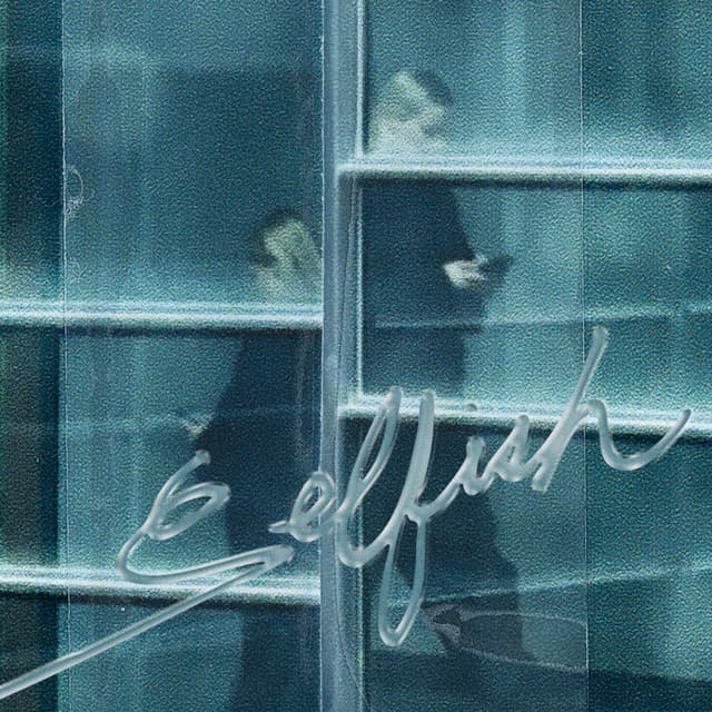 Album cover art for Selfish