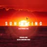 Sungazing