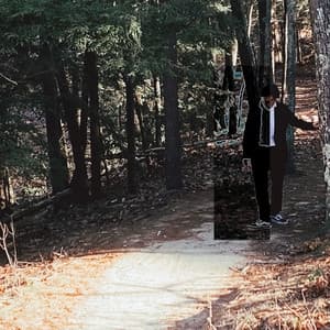 Album cover art for Dear Solitude,