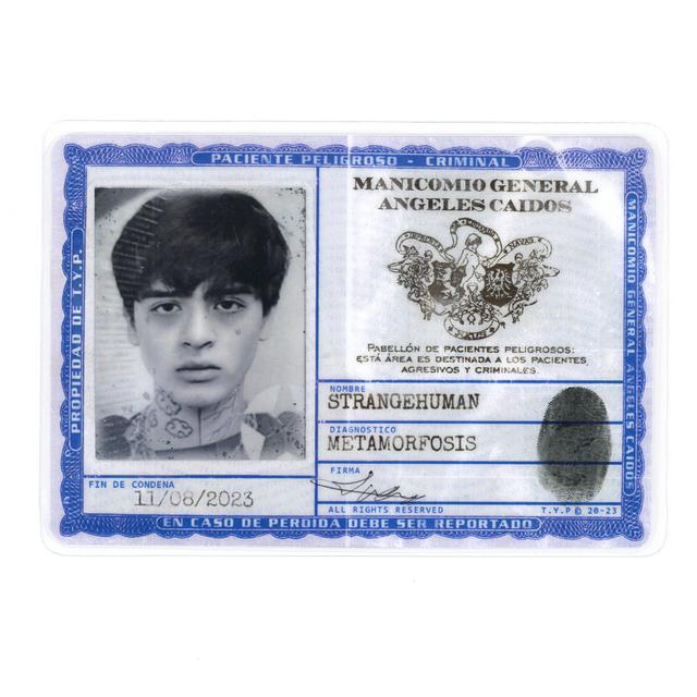 Album cover art for METAMORFOSIS