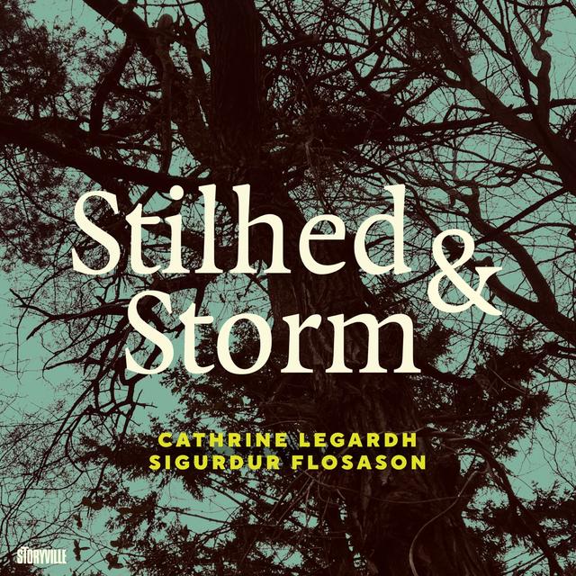 Album cover art for Stilhed & Storm