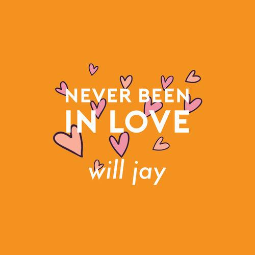 Album cover art for Never Been In Love