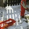 L'hiver s'en ira