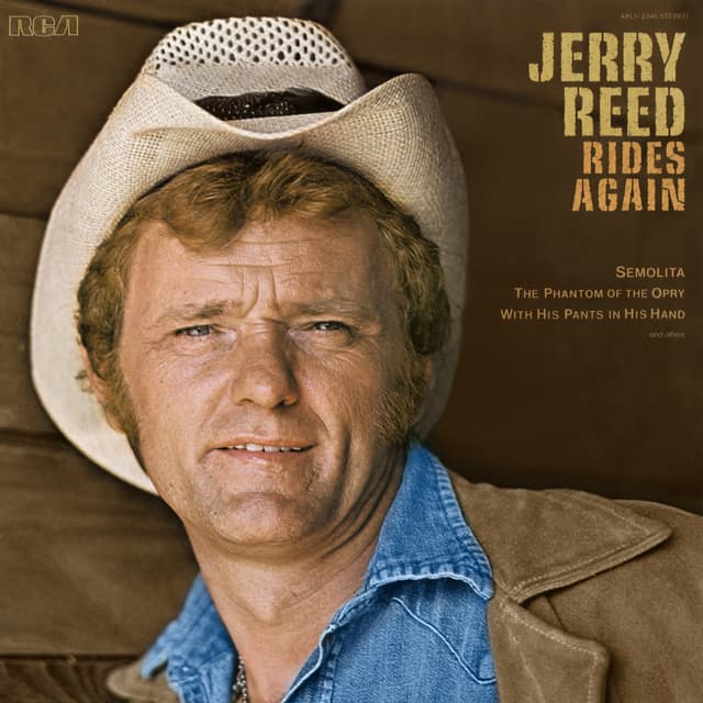 Album cover art for Rides Again
