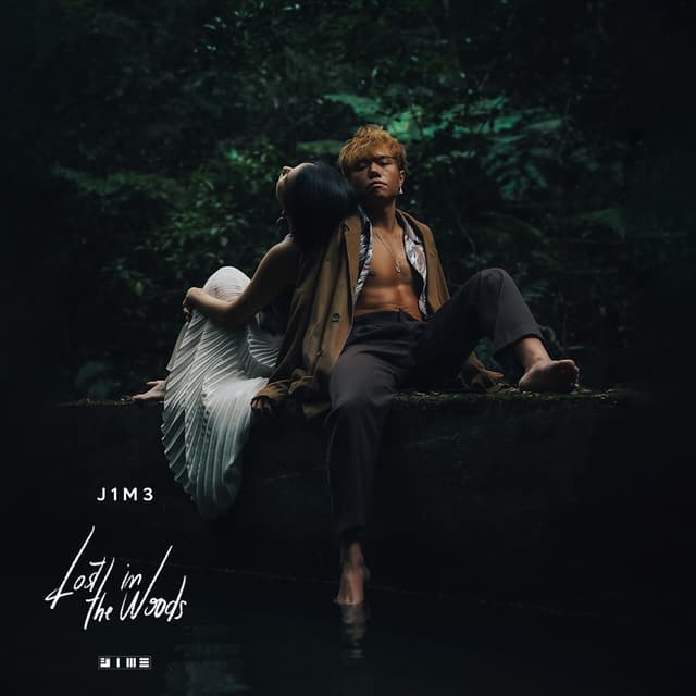 Album cover art for Lost In the Woods