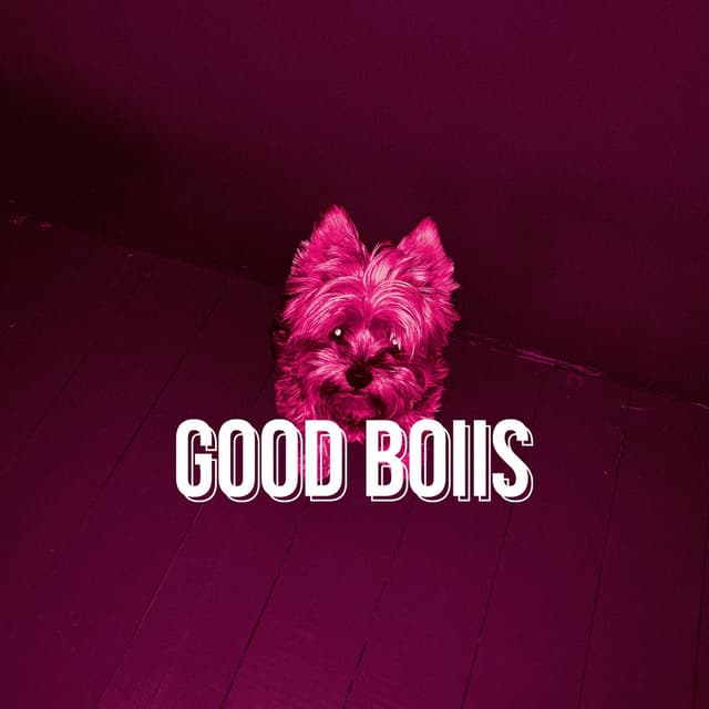 Album cover art for Good Boiis