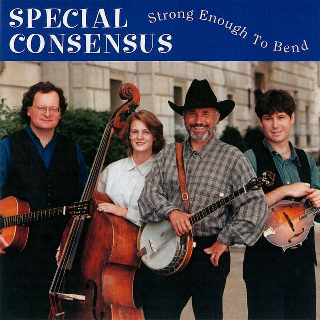 Album cover art for Strong Enough To Bend