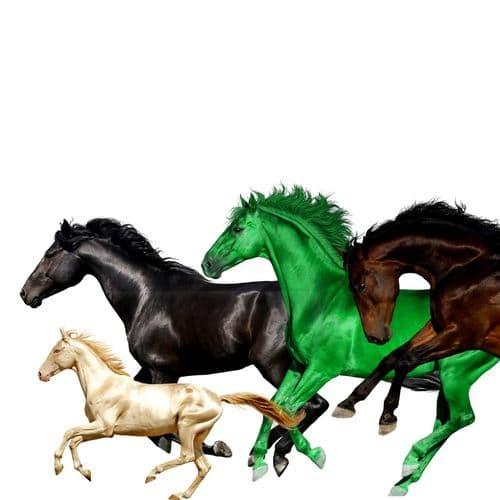 Album cover art for Old Town Road [Remix]