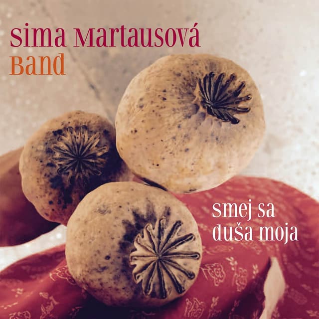 Album cover art for Smej sa duša moja