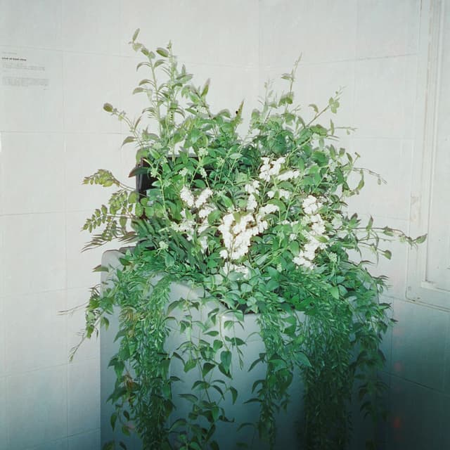 Album cover art for Love Eventually