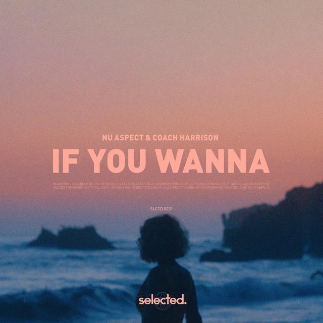 Album cover art for If You Wanna