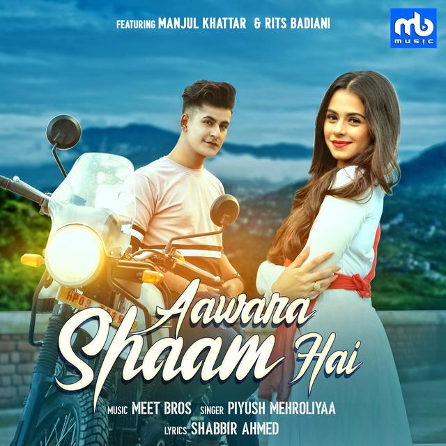 Album cover art for Aawara Shaam Hai