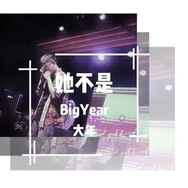 Album cover art for 她不是
