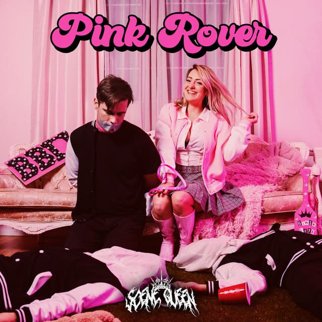 Album cover art for Pink Rover