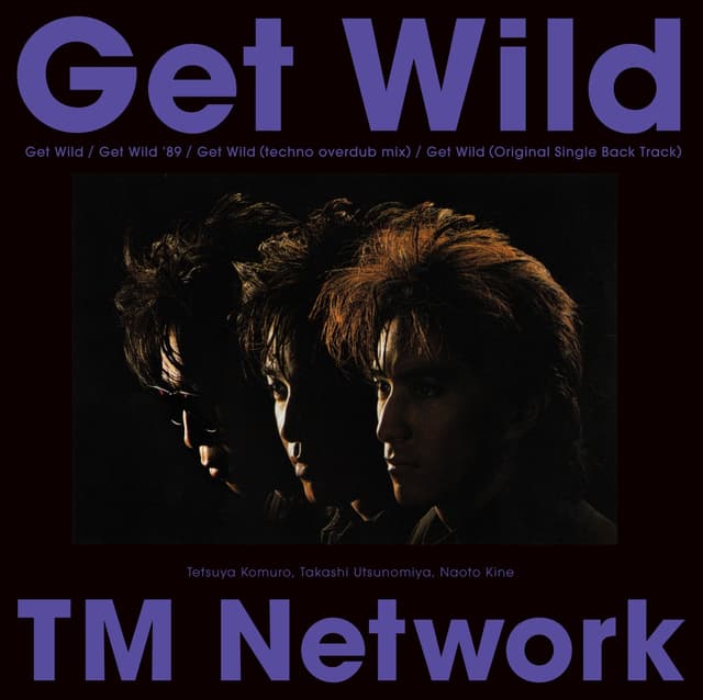 Album cover art for Get Wild