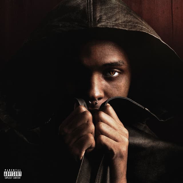Album cover art for Don't Hold The Fire