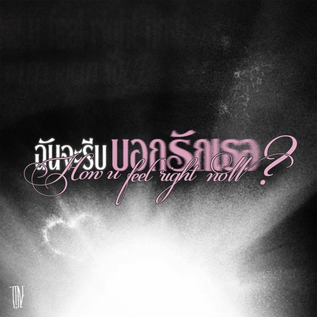 Album cover art for ฉันจะรีบบอกรักเธอ