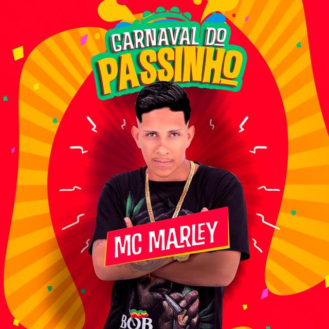 Album cover art for Carnaval do Passinho