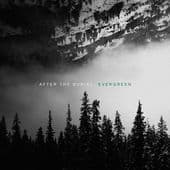 Album cover art for Evergreen