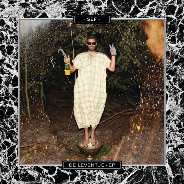 Album cover art for De Leventje - EP