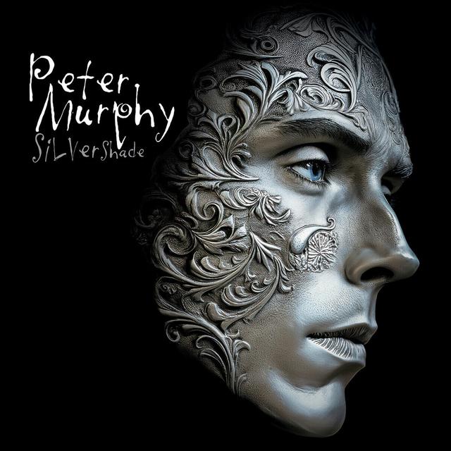 Album cover art for Silver Shade