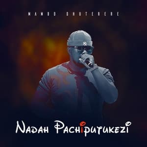 Album cover art for Nadah Pachiputukezi