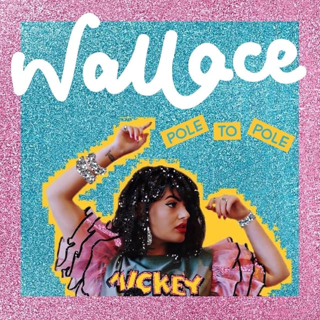 Album cover art for Pole to Pole