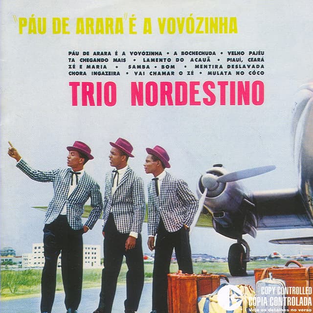 Album cover art for Pau De Arara E A Vovozinha'