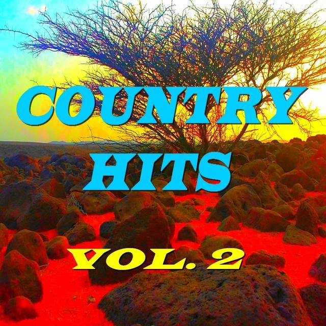 Album cover art for Country Hits, Vol. 2