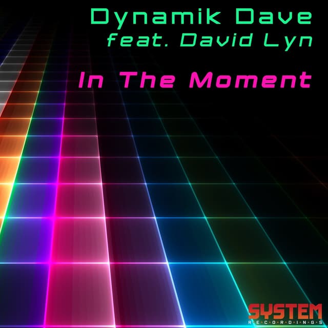 Album cover art for In The Moment (feat. David Lyn)