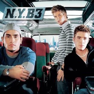 Album cover art for Nyb3