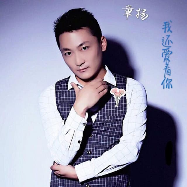 Album cover art for 我还爱着你