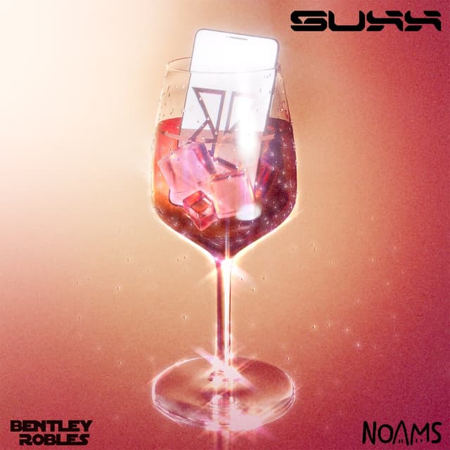 Album cover art for Suxx
