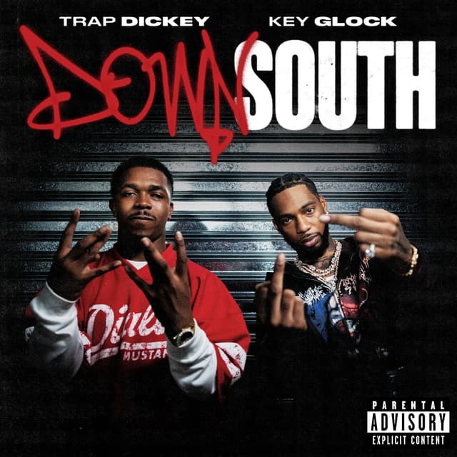 Album cover art for Down South