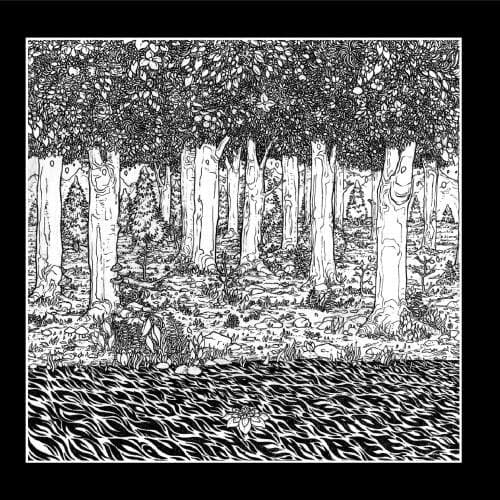 Album cover art for Through The Trees