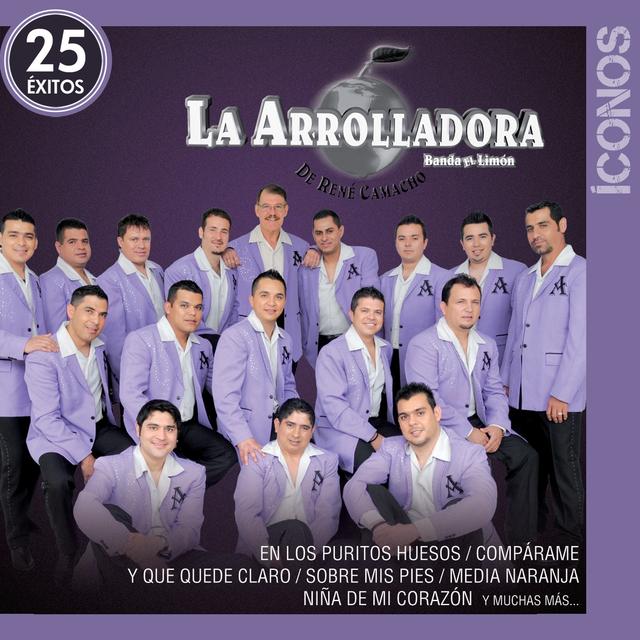 Album cover art for Íconos 25 Éxitos