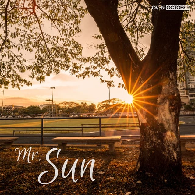 Album cover art for Mr. Sun