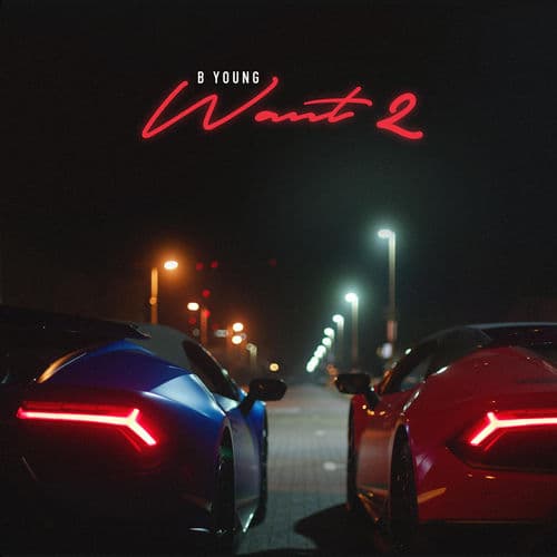 Album cover art for Want2