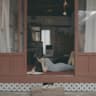 여운