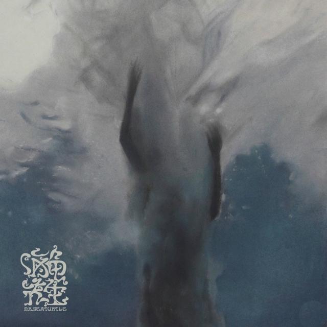 Album cover art for 海龟先生