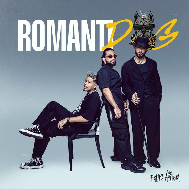 Album cover art for RomantiDog