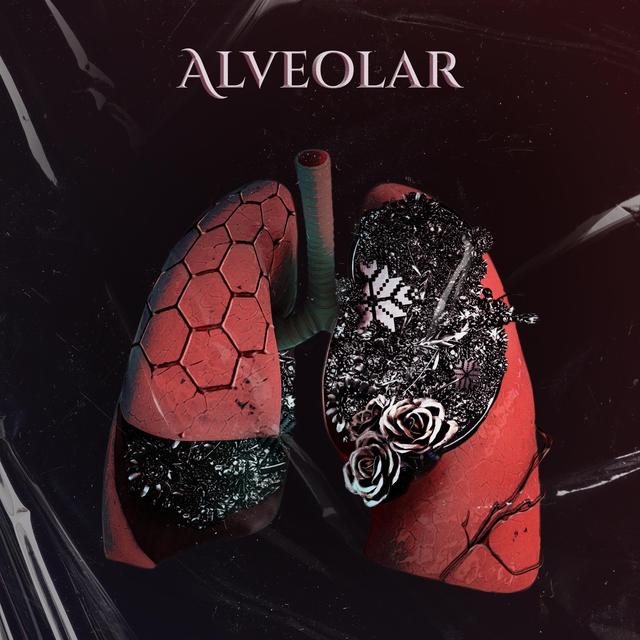 Album cover art for Alveolar