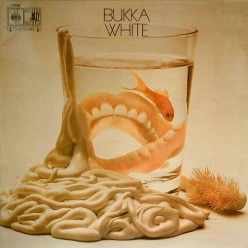 Album cover art for Bukka White