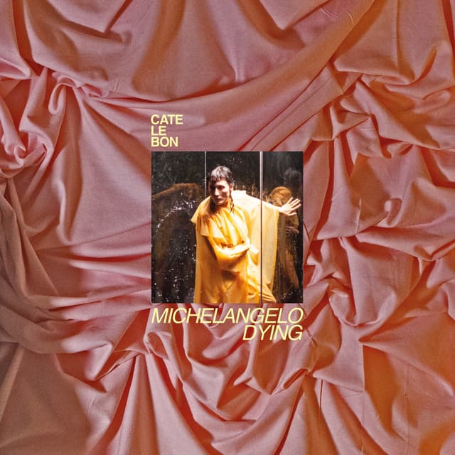 Album cover art for Michelangelo Dying