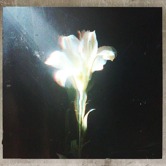 Album cover art for Light That Leads Me