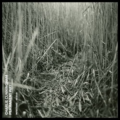 Album cover art for Permanent Way