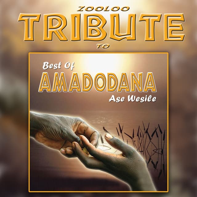 Album cover art for A Tribute To - Best Of Amadodana Ase Wesile